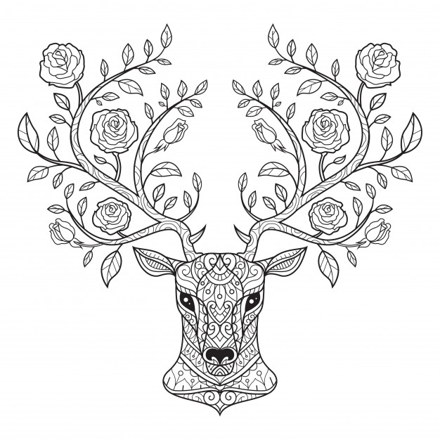 手绘鹿与玫瑰，梅花鹿角