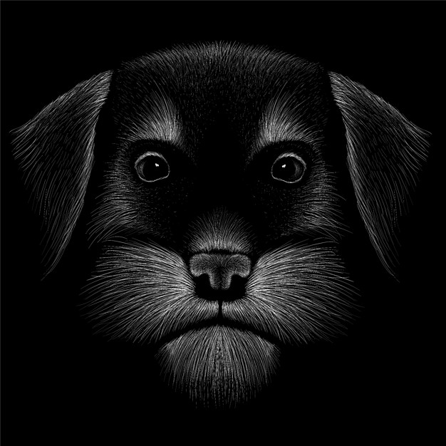 手绘粉笔风格的狗插图