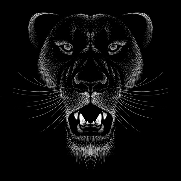 手绘粉笔风格的豹子，插画