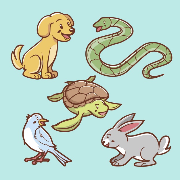 可爱的不同宠物