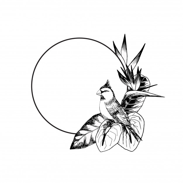 手绘鸟和植物组合的花环圆环