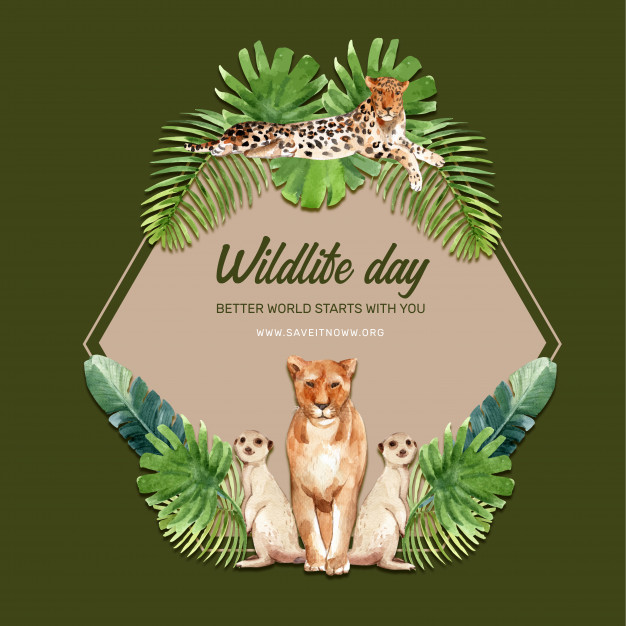 动物园的豹，狮子，猫鼬水彩插画，花环设计