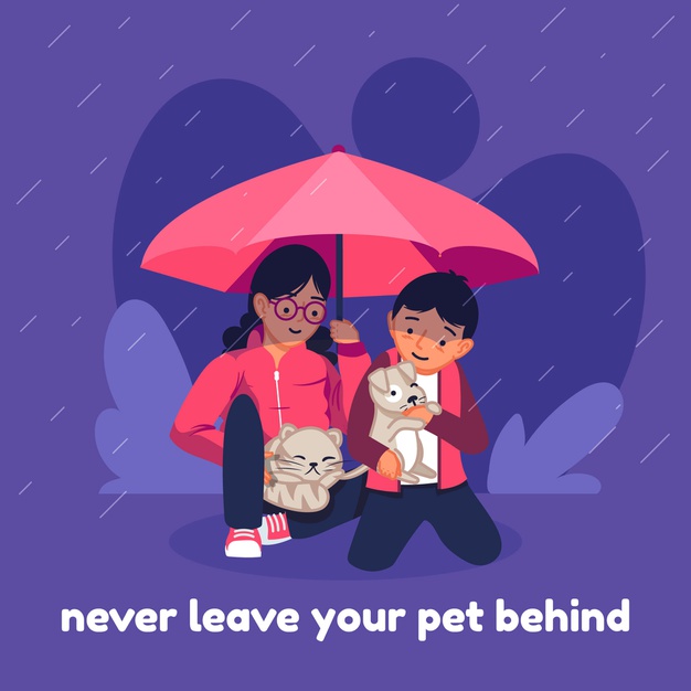 永远不要把你的宠物抛在后面