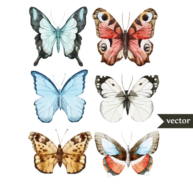 手绘水彩蝴蝶