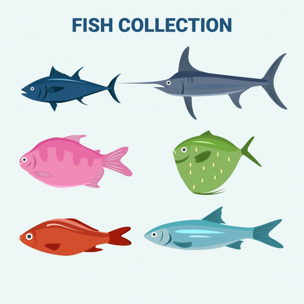 海里五颜六色的鱼类