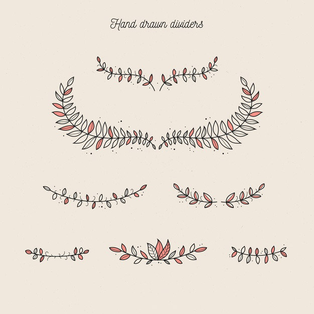 手绘枝叶花卉花朵装饰线条分割线