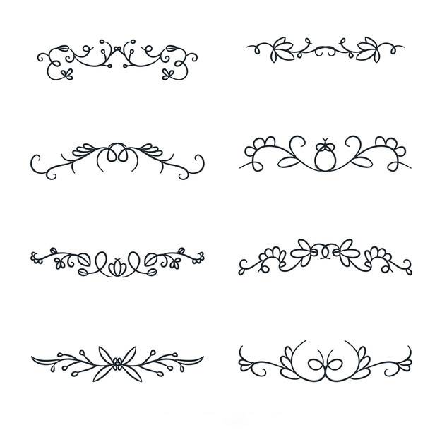 手绘枝叶花卉花朵装饰线条分割线