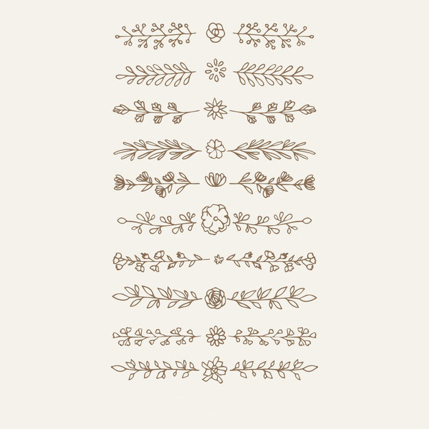 手绘枝叶花卉花朵文字装饰线条分割线元素