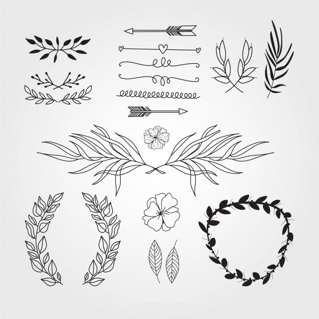 花卉花朵枝叶婚礼元素分割线标题框合集