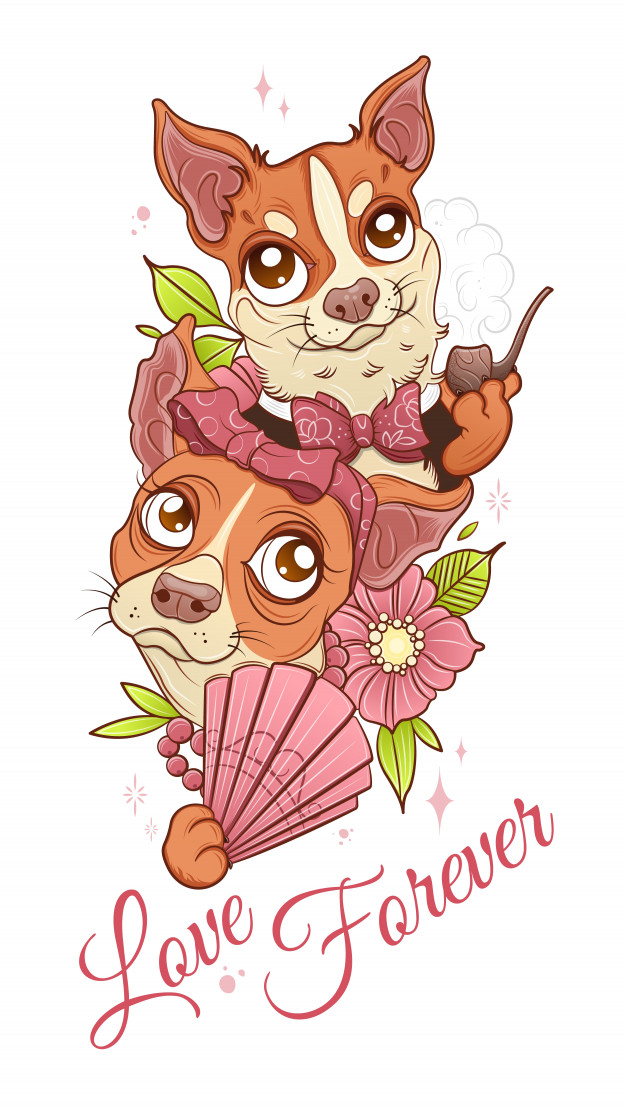 一对可爱的吉娃娃插画