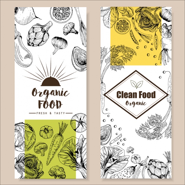 手绘有机蔬菜健康轻食减肥餐餐饮单页菜单模板