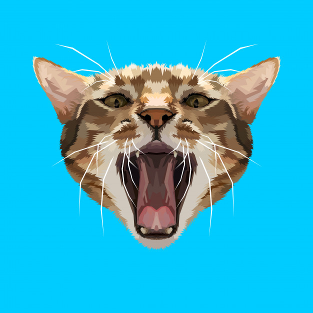 愤怒的猫手绘插画