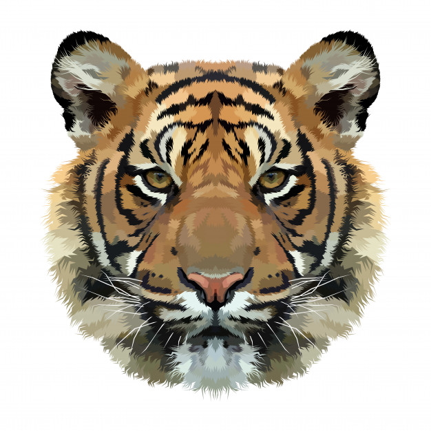 老虎多彩波普风格动物插画