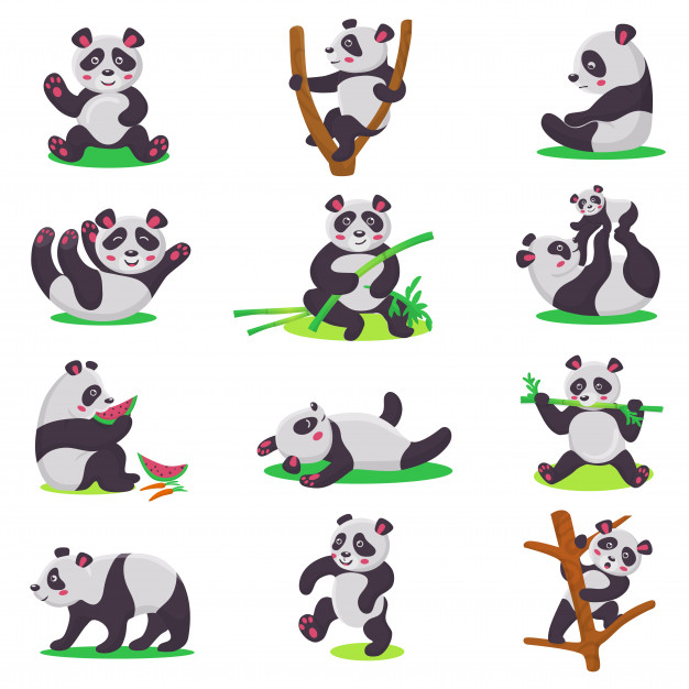 熊猫动作姿势插画