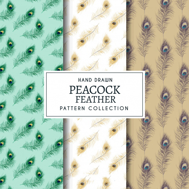 孔雀羽毛图案背景花纹