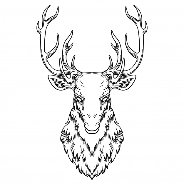 手绘鹿线稿插画