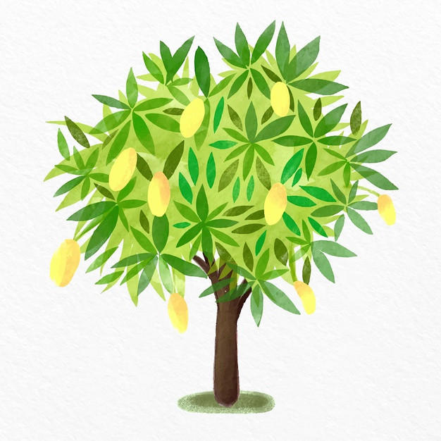 水彩芒果树,树木