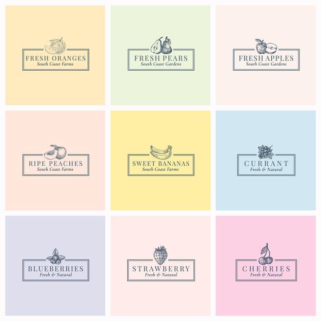 手绘水果，logo标志