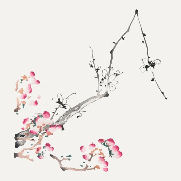 中式植物花朵插画国画