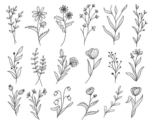 手绘植物枝叶花朵叶子花卉树叶线稿装饰设计元素矢量图素材