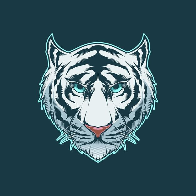 蓝眼睛的白虎老虎插画