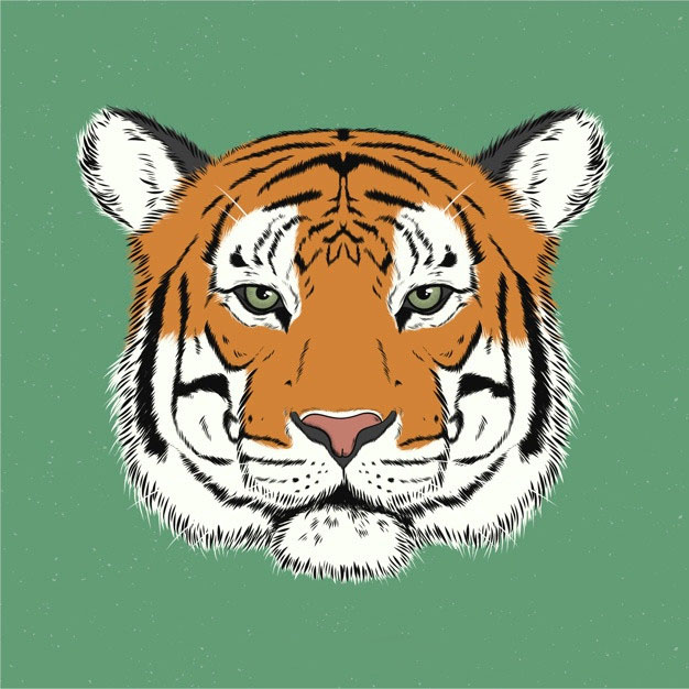 老虎头插画