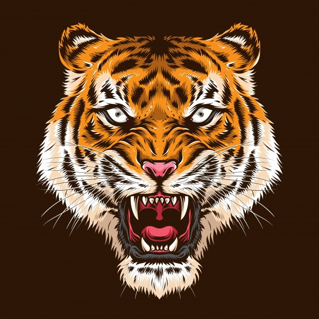 愤怒的老虎头插画