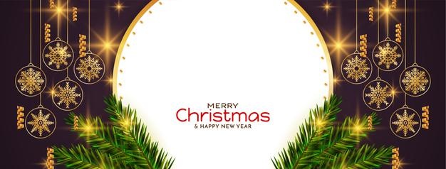 圣诞节雪花植物叶子装饰banner横幅背景