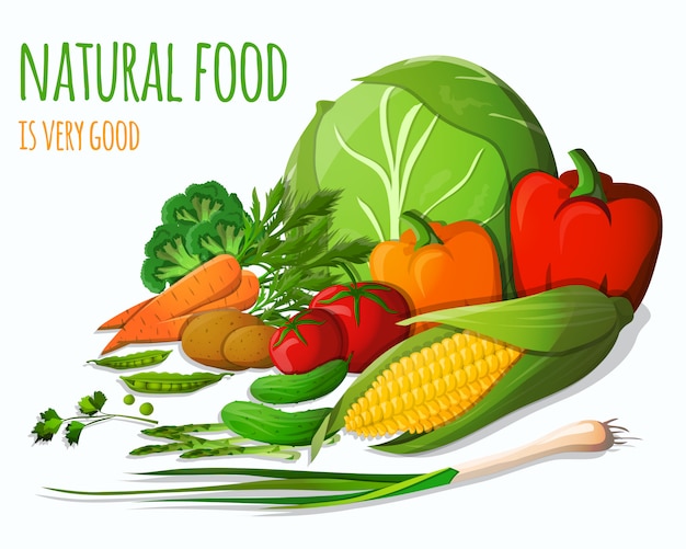 玉米包菜辣椒葱蔬菜插画