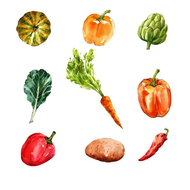 蔬菜插画