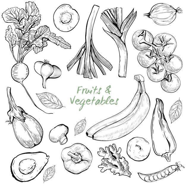 手绘蔬菜和水果插画