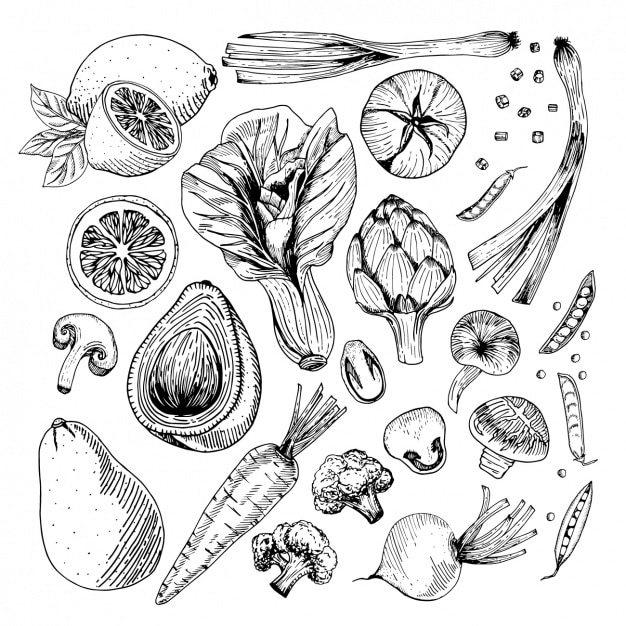 写实的蔬菜插画