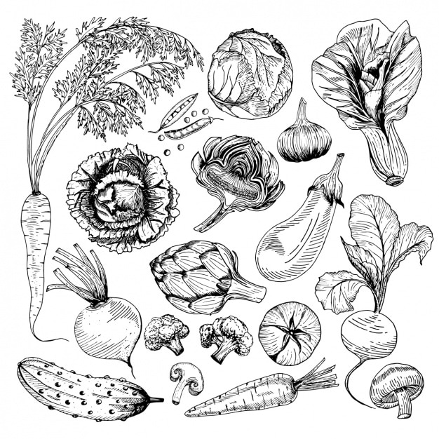 手绘蔬菜插画
