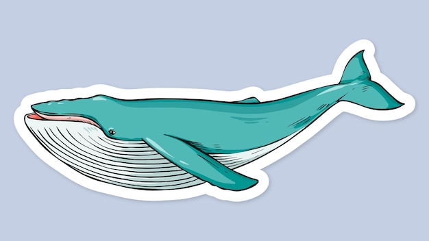 鲸鱼插画