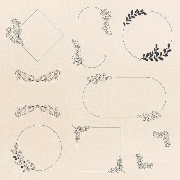 花朵花卉装饰边框