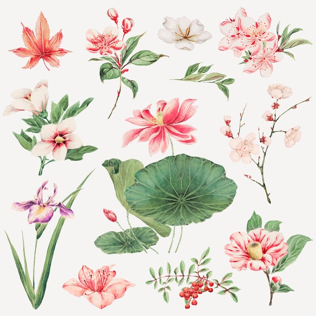 荷花杜鹃花木槿花芙蓉花桃花茉莉花茶花