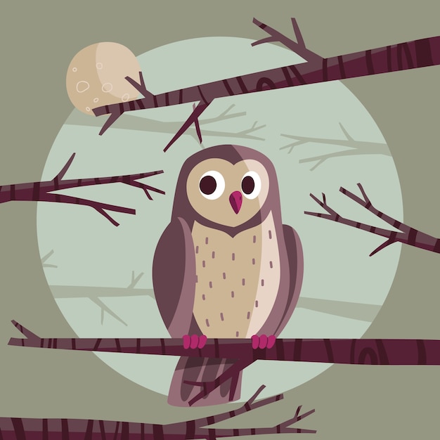 猫头鹰插画