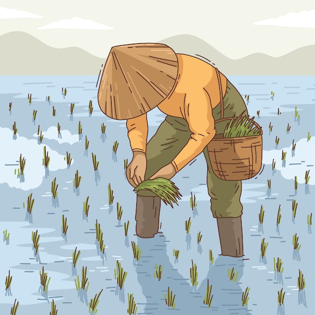 种植水稻插秧农民插画