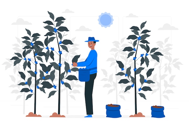 咖啡农场农业扁平插画