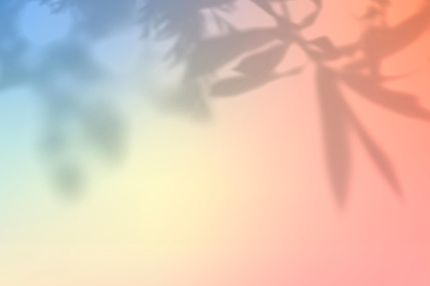 渐变植物投影背景