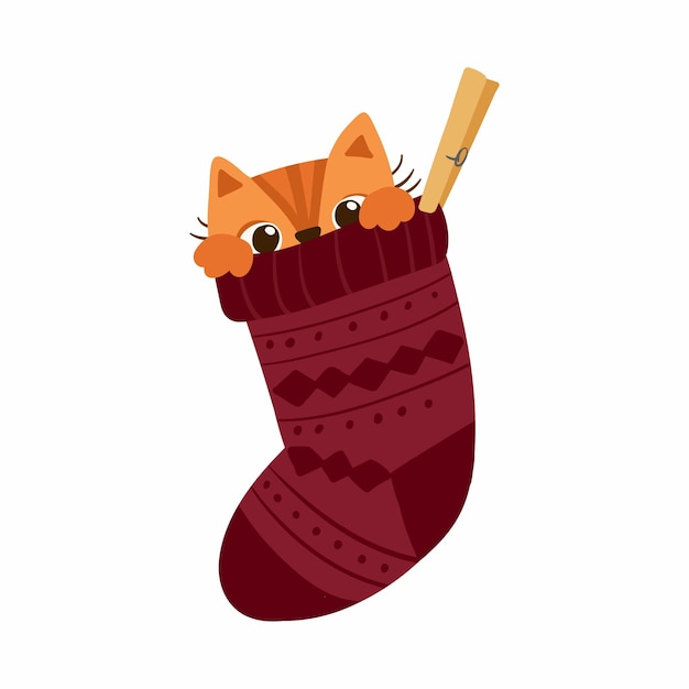 袜子里的小猫插画