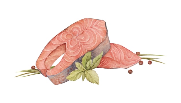 水彩鲑鱼肉片插画