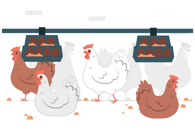 养鸡场扁平插画