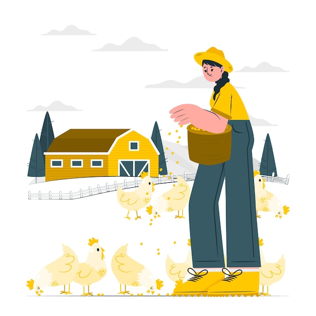 养鸡场扁平插画