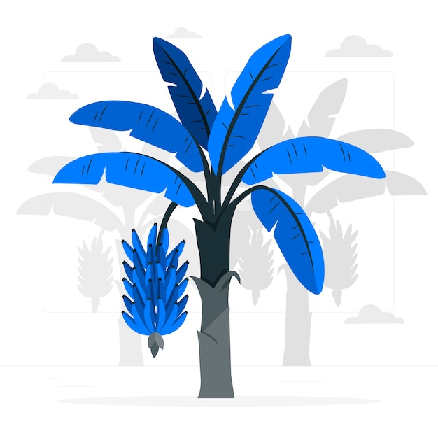 香蕉树扁平插画