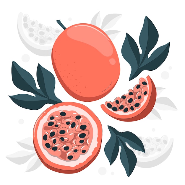 百香果扁平插画