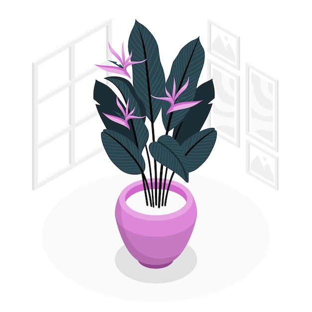 鹤望兰植物扁平插画