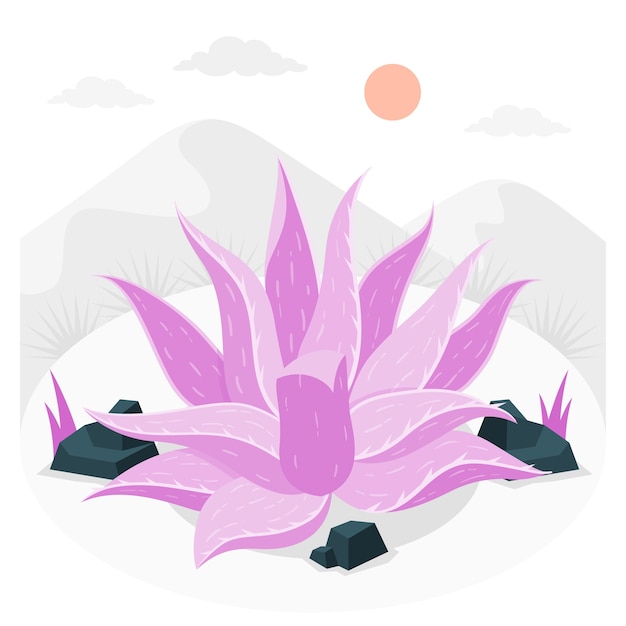 芦荟植物扁平插画