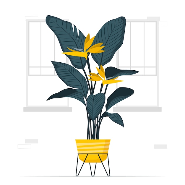 鹤望兰植物扁平插画