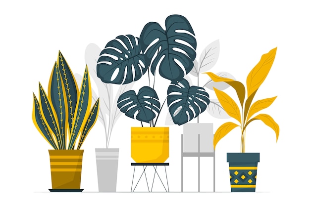 盆栽植物扁平插画